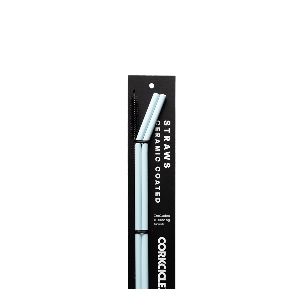 Ceramic Coated Straw Set - Handy Choice L2 - Straw Set / Ceramic Powder Blue