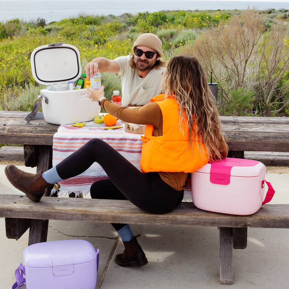 Chillpod Go - Clean Cooler V4