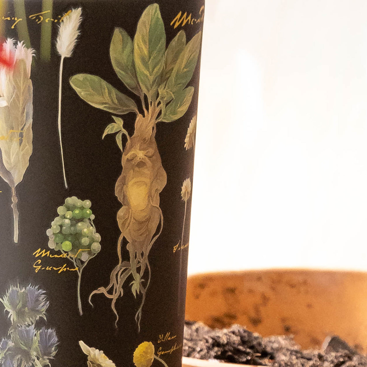 Harry Potter Cold Cup - Versatile Beverage F8
