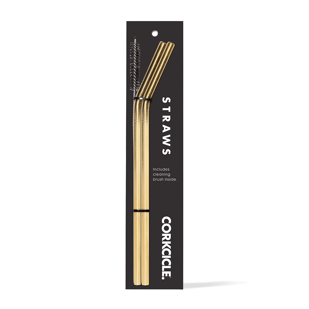 Tumbler Straw 2-Pack - Fresh Choice X6