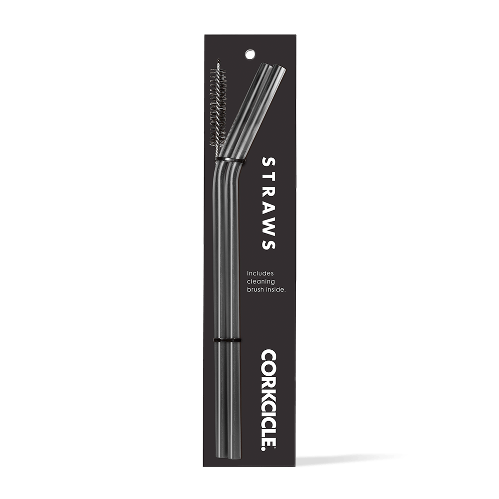 Tumbler Straw 2-Pack - Fresh Choice X6